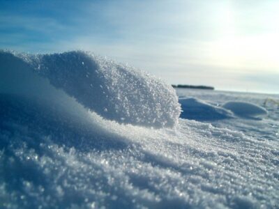 Специалисты ФГБУ САС «Шадринская» проводят обследование запасов влаги в снежном покрове на реперных участках по зоне обслуживания